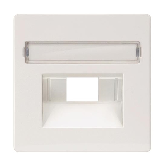 Siemens central plate for data socket beige, marked DELTA LINE, 5TG2544 cover photo