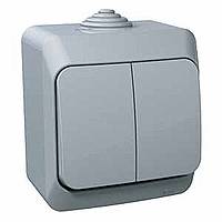 Schneider Electric Two-button switch (1+1) surface-mounted Gray IP44 with k-lamp CEDAR P, WDE000651 cover photo