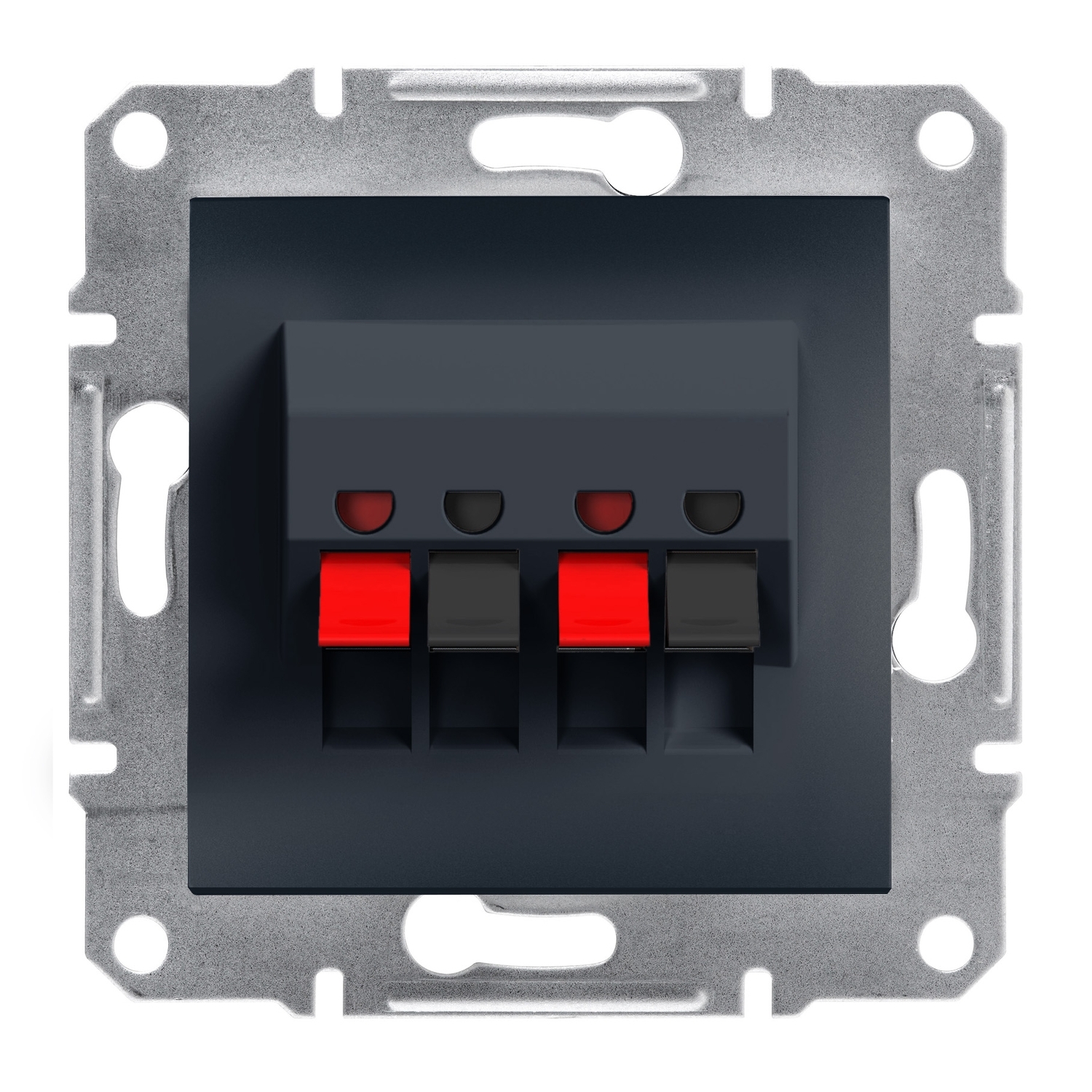 Schneider Electric audio speaker socket 2-slo, anthracite, Asfora, EPH5700171 cover photo