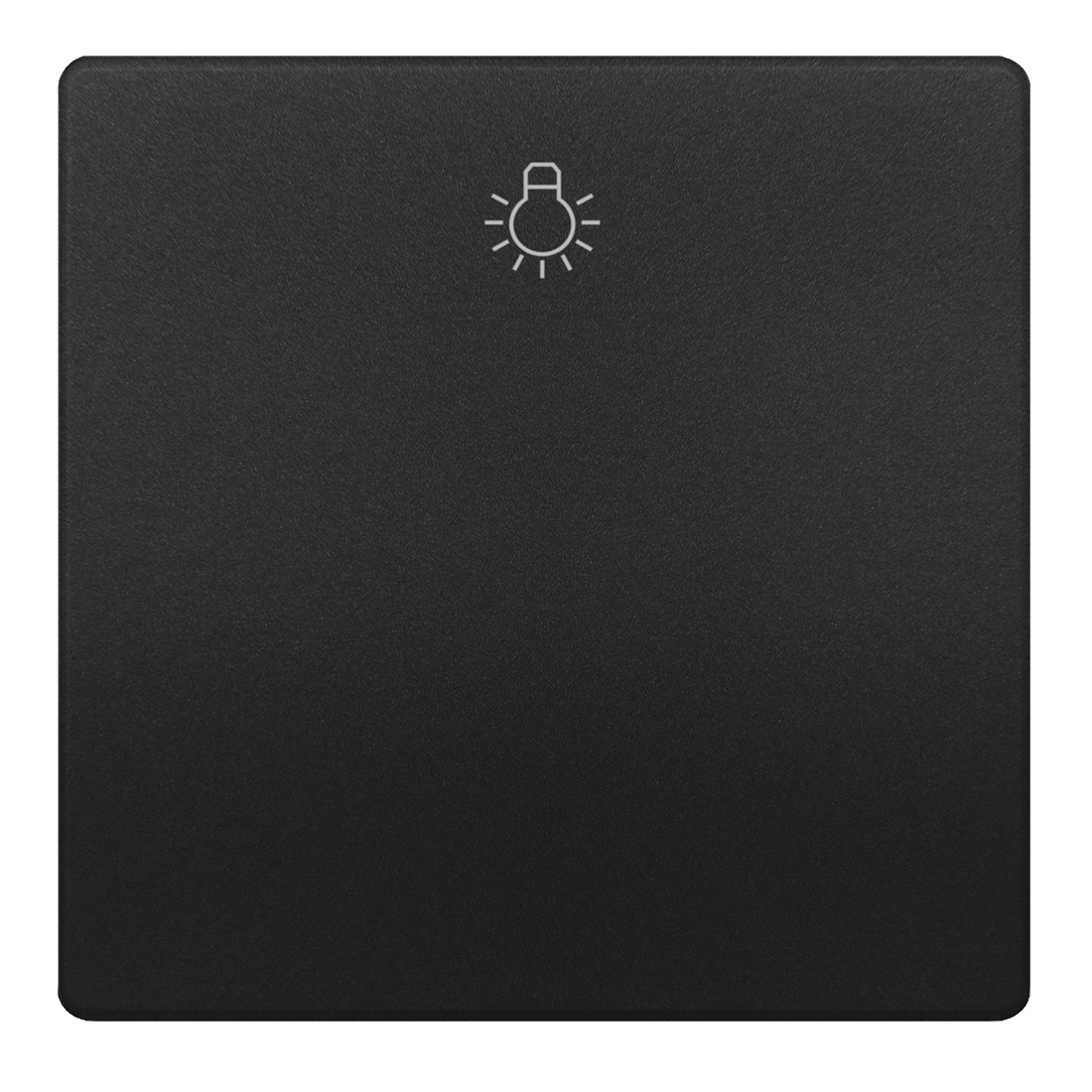 Siemens socket button with a light symbol anthracite DELTA STYLE, 5TG7141-0AC20 cover photo