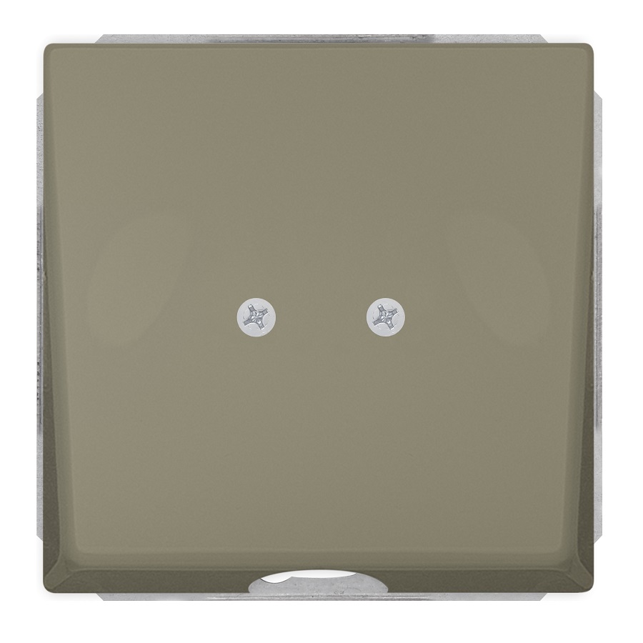 Siemens cable outlet gold DELTA STYLE, 5TG1335-0MG cover photo