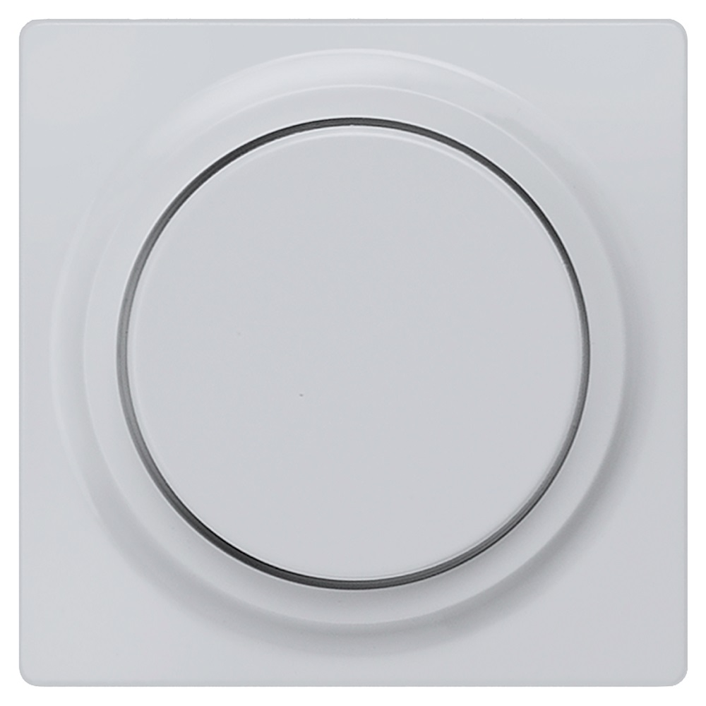 Siemens dimmer decorative cover aluminium i-system, 5TC8900-1AM cover photo