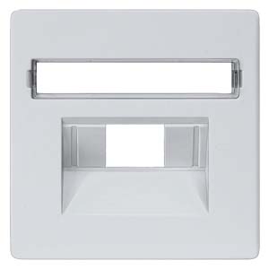 Siemens central plate for data socket Delta Line marked, aluminum, 5TG1258 cover photo