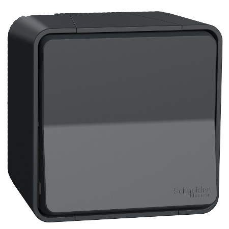 Schneider Electric two-way switch surface-mounted Mureva, 10A, anthracite, IP55 IK08, MUR35021 cover photo