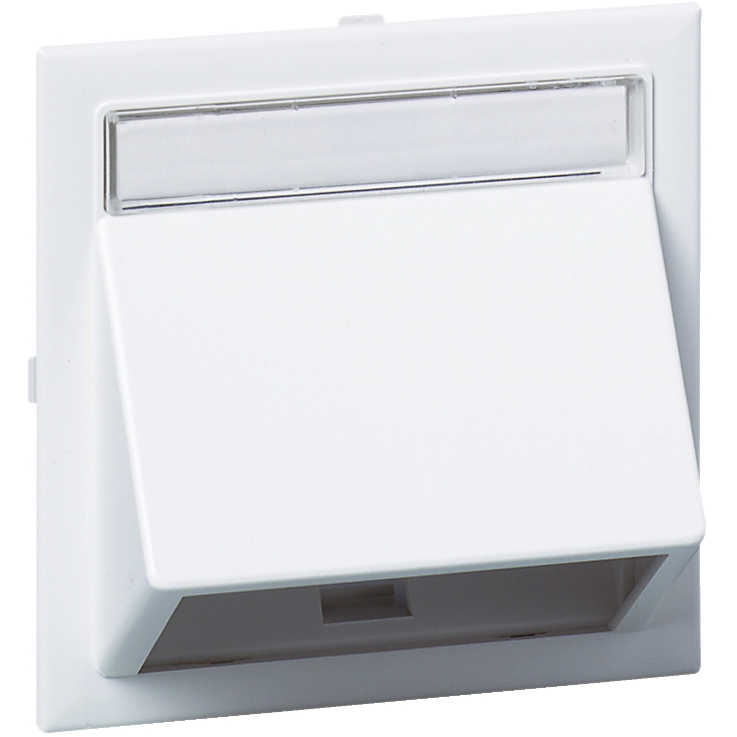Schneider Electric low-slotoltage socket CYB-BK1 s1, 5970000 cover photo