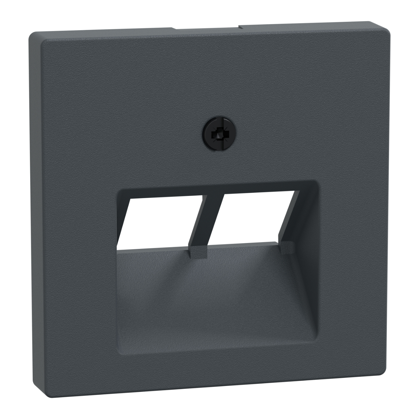 Schneider Electric central plate 2xRJ45, for data socket, anthracite System M, 298014 cover photo