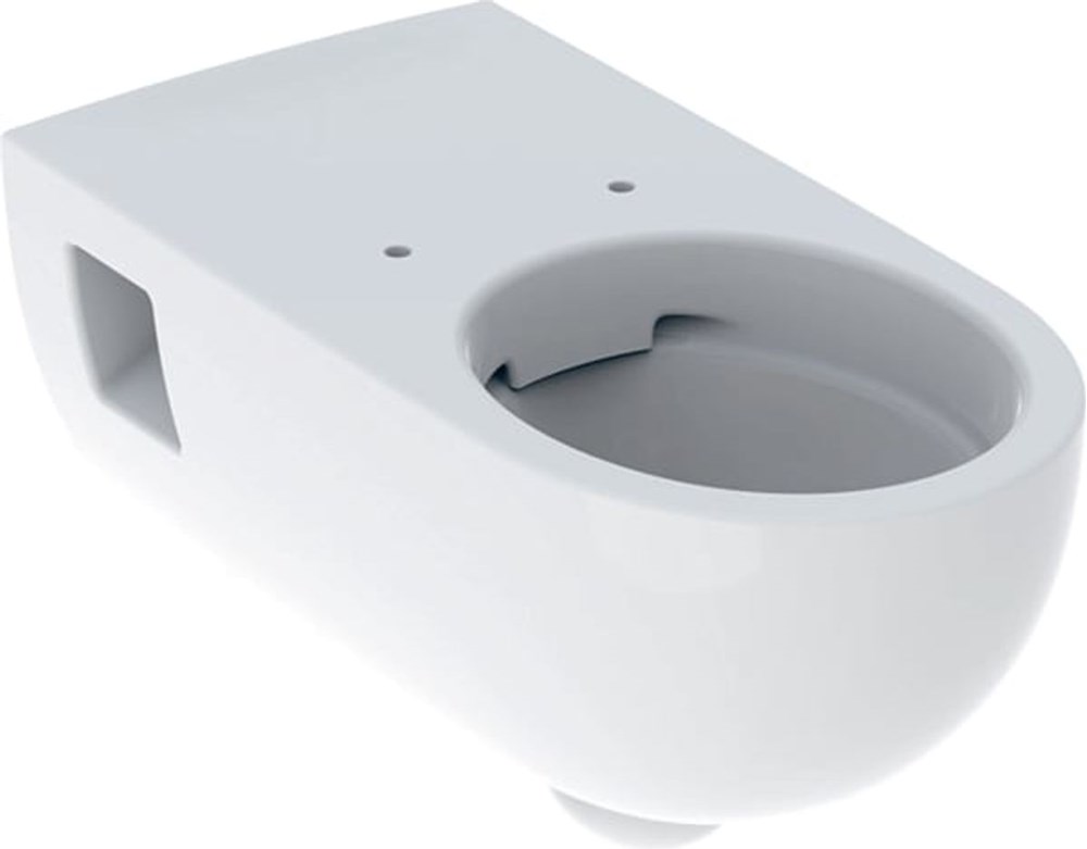 Geberit Selnova Comfort wall-mounted WC Premium, with deep flush, extended projection, with semi-smooth sides, for people with special needs, Rimfree, 500.693.01.2 cover photo